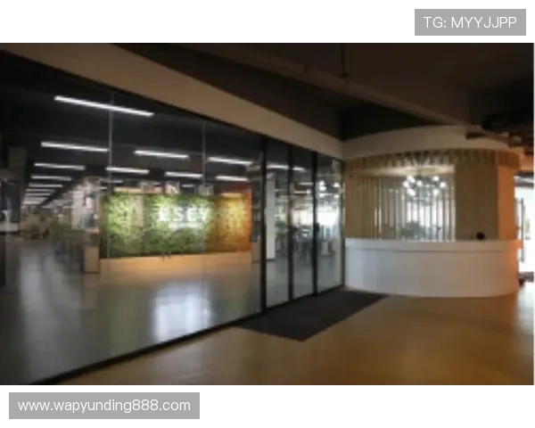 云顶公司怎么取名：利用品牌故事打造具有吸引力的公司名称