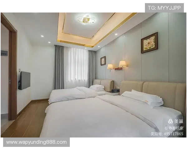 云顶真人官方官网入口：最新安全登录指南与操作流程详解