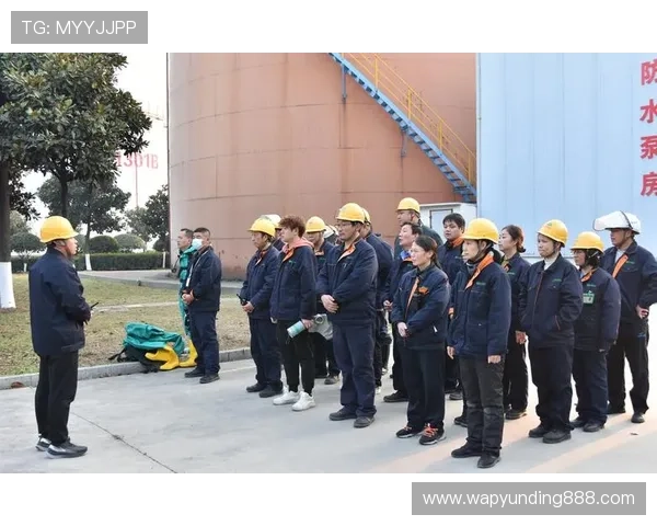 探索4008云顶集团品牌官网的核心优势与特色服务，提升您的品牌认知度