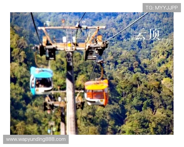 有关马来西亚云顶是谁的详尽资料以及其在行业中的影响力