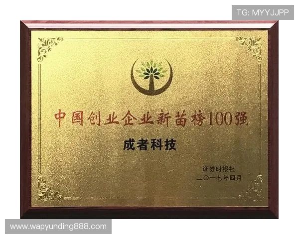 云顶公司取名技巧详解帮助创业者快速打造独特品牌形象 云顶公司取名技巧详解帮助创业者快速打造独特品牌形象