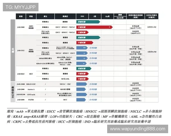云顶新耀官网安全技术应用详解提升平台抗攻击能力保障用户数据安全 云顶新耀官网安全技术应用详解提升平台抗攻击能力保障用户数据安全